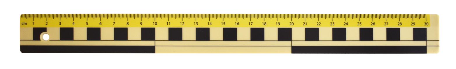 Linjal 30cm dm/cm/mm-grader plast 10/fp