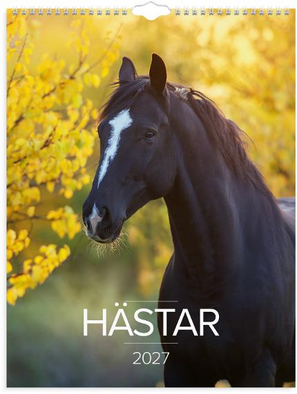 Väggkalender Stora Hästkalendern 2027
