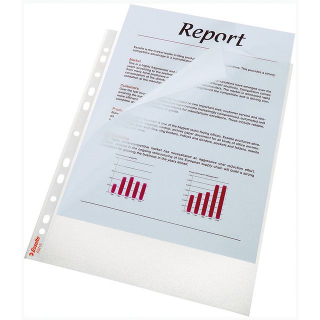 Plastficka Mapp ESSELTE A4 0,08mm 100/fp