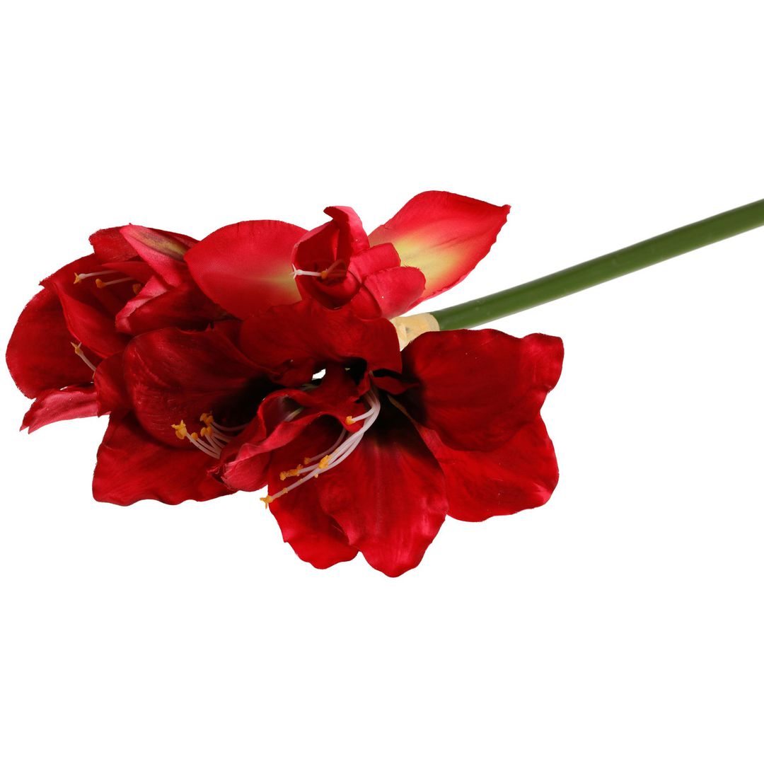 Dekoration Amaryllis 50cm